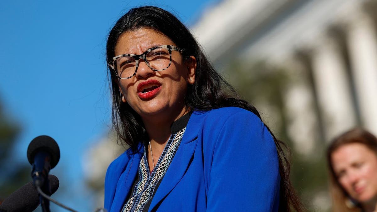 Rep. Rashida Tlaib