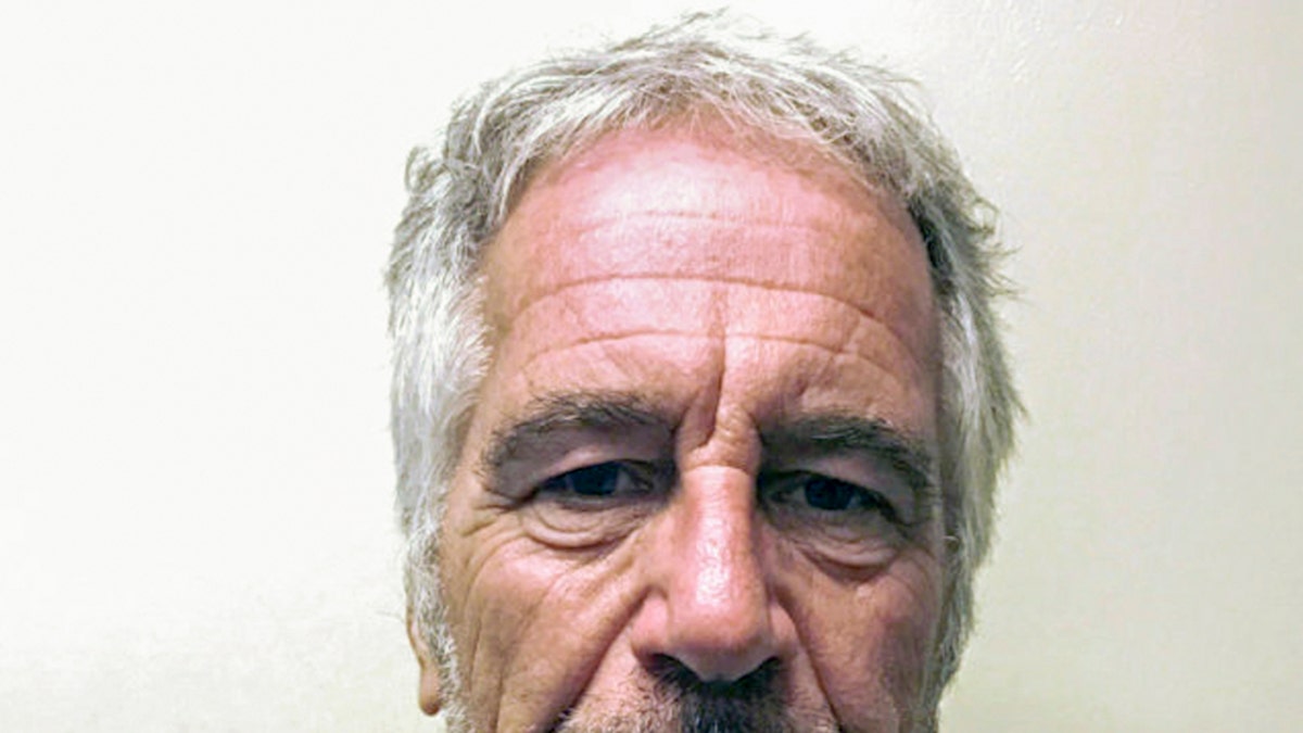 A mug shot of Jeffrey Epstein